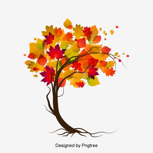 640x640 Autumn Tree Vector, Autumn, Maple Leaf Vector, Leaves Png