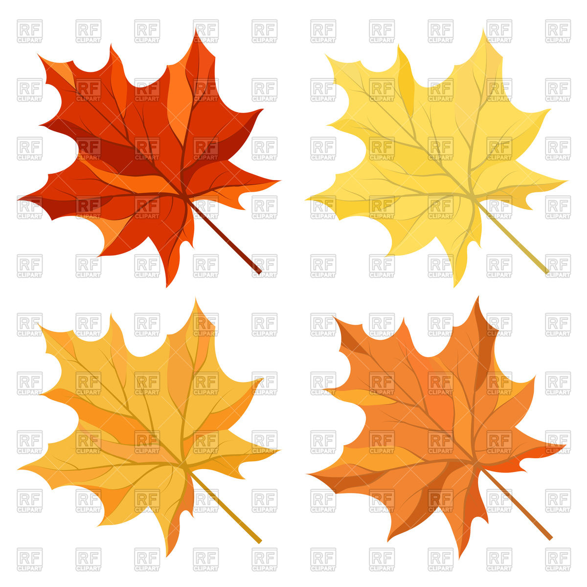 Autumn Maple Leaves Vector Image Of Plants And Animals Angelp 1200x1200 Autumn Maple Leaves Vector Image Of Plants And Animals Angelp