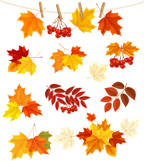 Leaves Clipart Vector Art For Free Download And Use Images 500x557 Leaves Clipart Vector Art For Free Download And Use Images