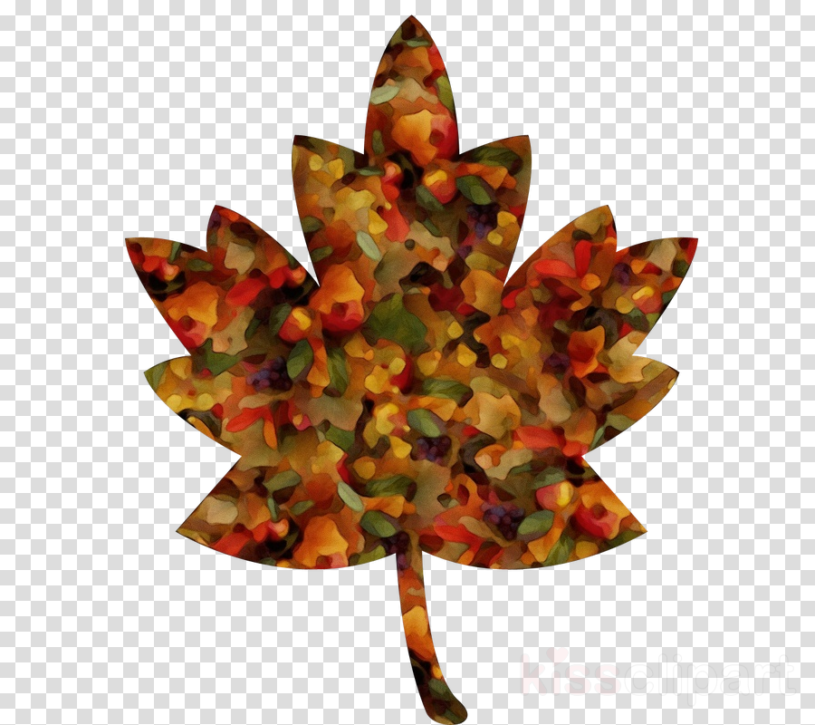 Maple Leaf, Leaf, Red Maple, Transparent Png Image Clipart Free 900x800 Maple Leaf, Leaf, Red Maple, Transparent Png Image Clipart Free