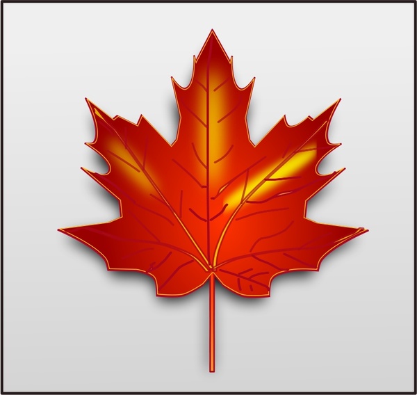 Maple Leaf Free Vector In Open Office Drawing 600x568 Maple Leaf Free Vector In Open Office Drawing
