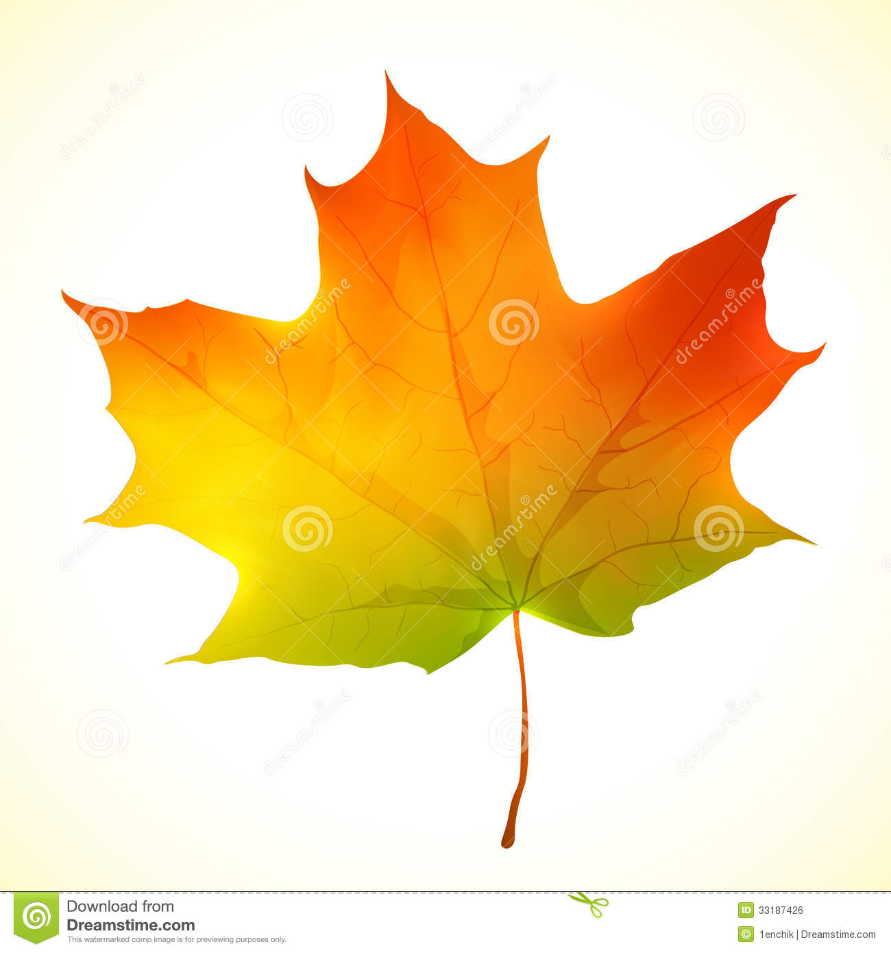 Maple Leaves Vector Free Images 1300x1390 Maple Leaves Vector Free Images