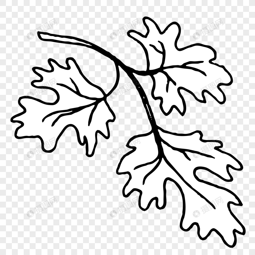 Maple Leaf Vector Png Image Picture Free Download 860x860 Maple Leaf Vector Png Image Picture Free Download