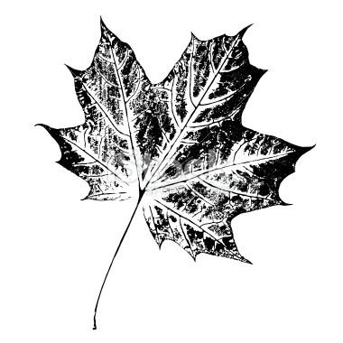 Maple Leaf Paint, Imprint On A Paper Dizajn Leaf 380x380 Maple Leaf Paint, Imprint On A Paper Dizajn Leaf