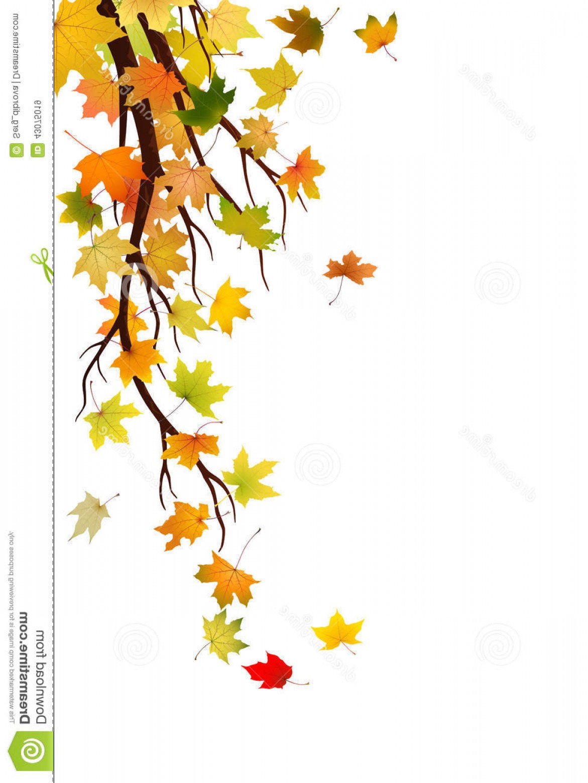 Stock Illustration Autumn Branch Maple Leaves Vector Illustration 1171x1560 Stock Illustration Autumn Branch Maple Leaves Vector Illustration