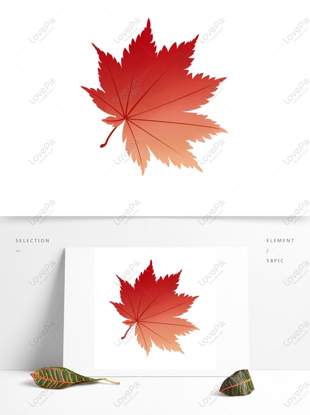 Free Images Download Autumn Red Maple Leaf Vector Element 1024x1369 Free Images Download Autumn Red Maple Leaf Vector Element