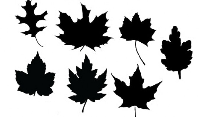 Leaf Vectors Free Vectors Ui Download 680x395 Leaf Vectors Free Vectors Ui Download