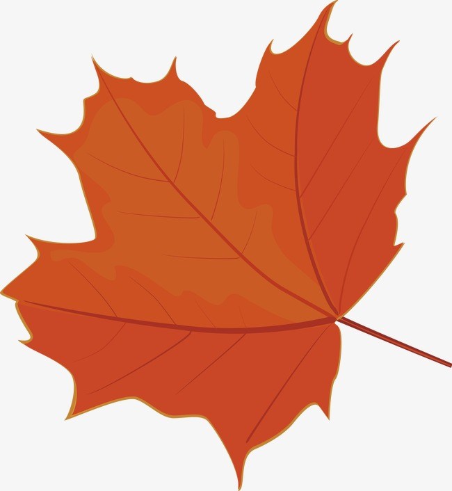 Maple Leaf Vector Free at Vectorified.com | Collection of Maple Leaf ...