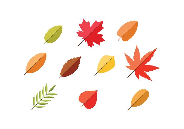 Maple Leaf Free Vector Art 700x490 Maple Leaf Free Vector Art