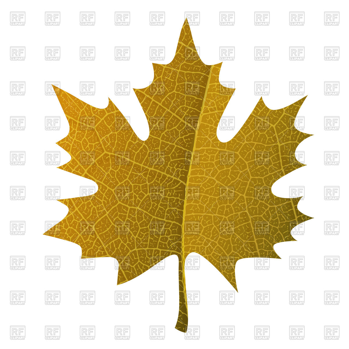 Orange Maple Leaf Vector Image Of Signs, Symbols, Maps Pashabo 1200x1200 Orange Maple Leaf Vector Image Of Signs, Symbols, Maps Pashabo