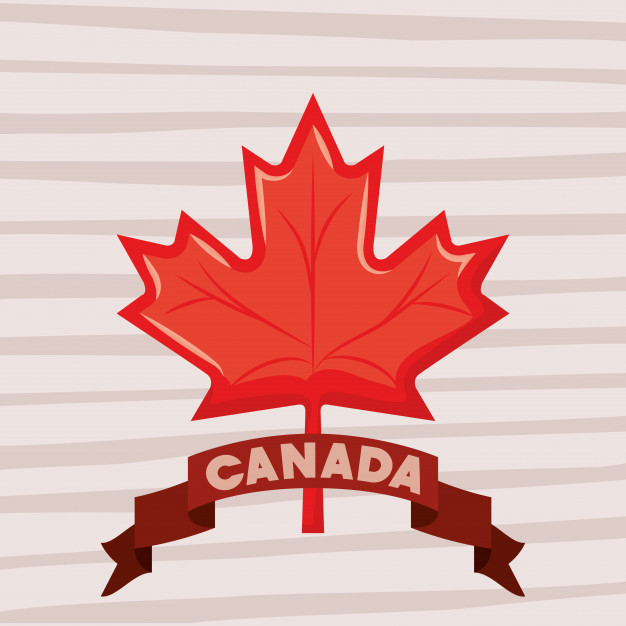 Canada Day With Maple Leaf Vector Free Download 626x626 Canada Day With Maple Leaf Vector Free Download