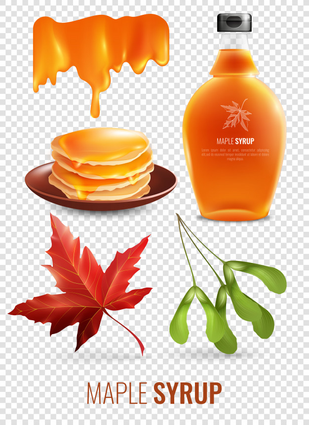 626x860 Vermont Maple Syrup Set Vector Free Download