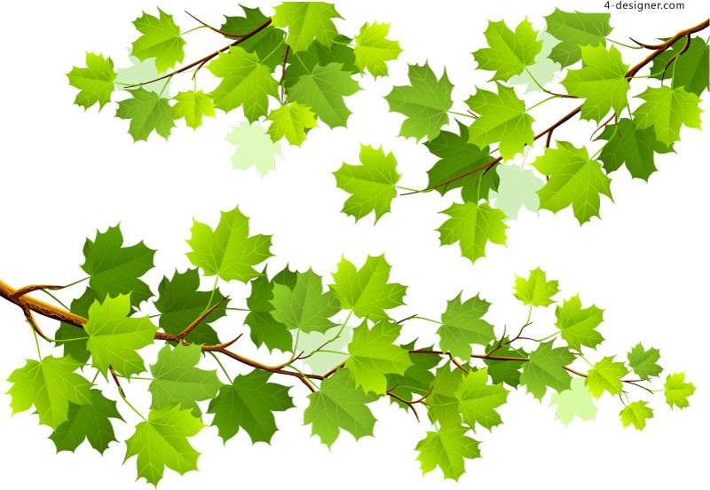 Maple Tree Vector