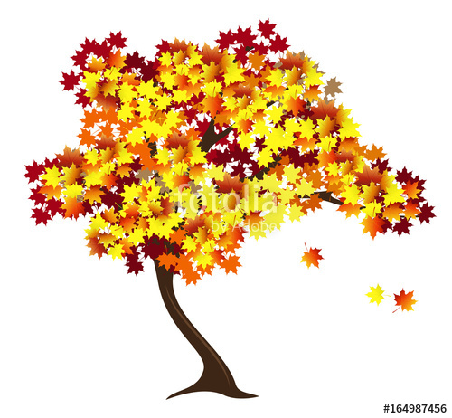 500x462 Autumn Maple Tree With Red And Yellow Falling Leaves Hand Drawn