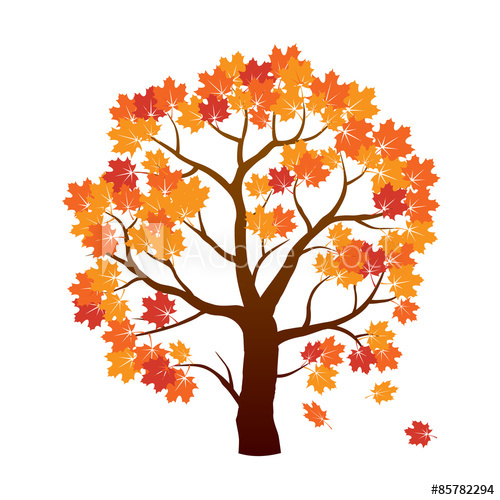 500x500 Color Autumn Maple Tree Vector Illustration