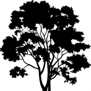 300x300 Maple Tree And Grass Silhouette Vector Soidergi
