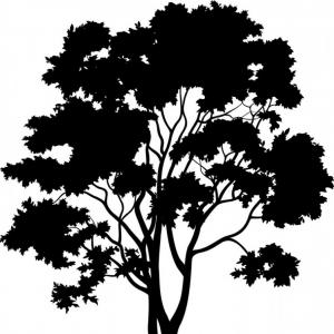 300x300 Maple Tree And Grass Silhouette Vector Catchsplace