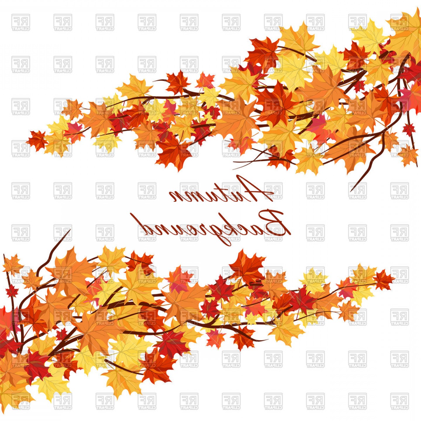 1440x1440 Maple Tree Autumn Background Vector Clipart Cqrecords