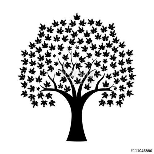 500x500 Maple Tree Silhouette Background Stock Image And Royalty Free