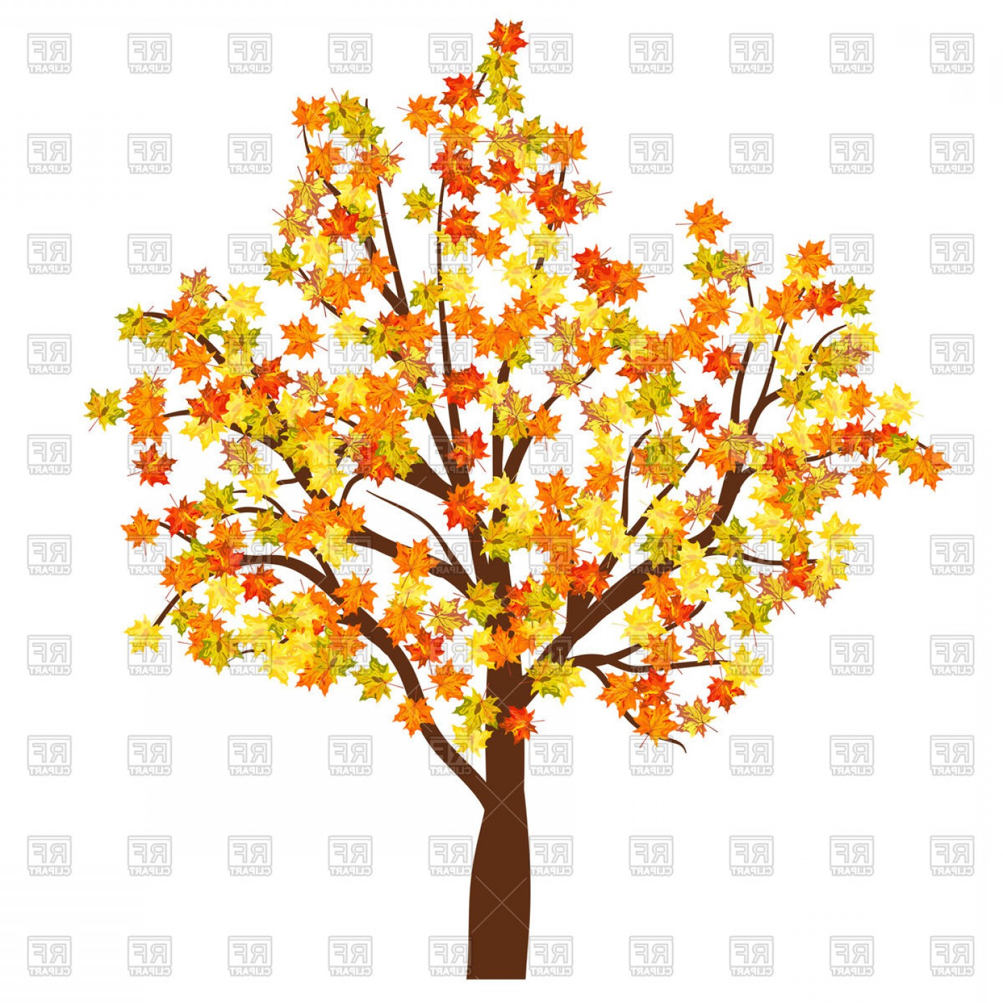 1440x1440 Autumn Maple Tree Vector Clipart Catamart