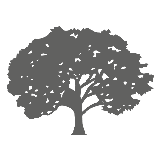 Maple Tree Vector at Vectorified.com | Collection of Maple Tree Vector ...