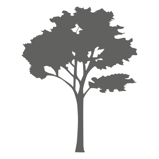 512x512 Maple Tree Silhouette