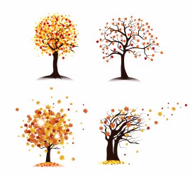 Maple Tree Vector at Vectorified.com | Collection of Maple Tree Vector ...