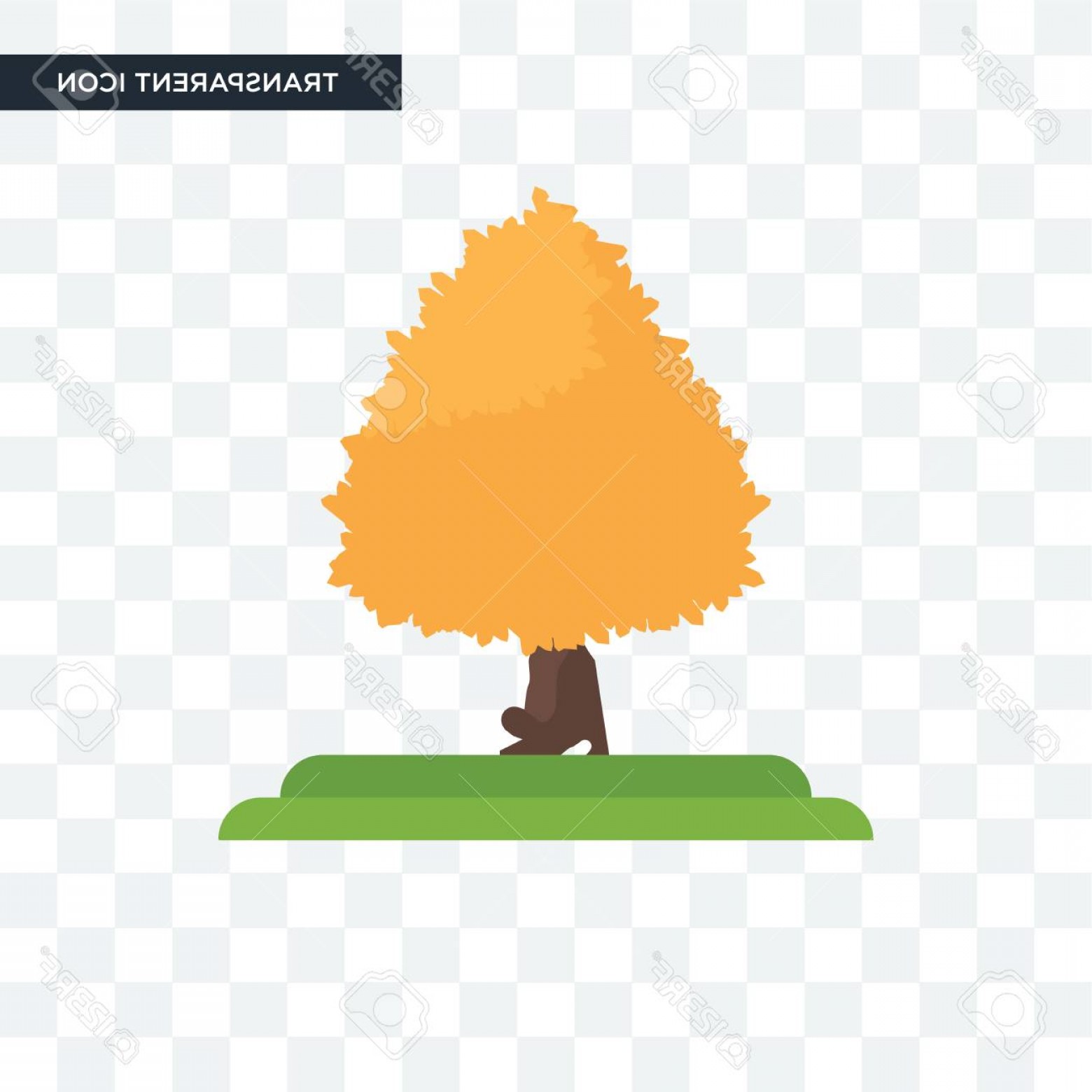 1560x1560 Photostock Vector Sugar Maple Tree Vector Icon Isolated