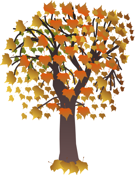 462x597 Tree Clipart Maple Tree Clip Art
