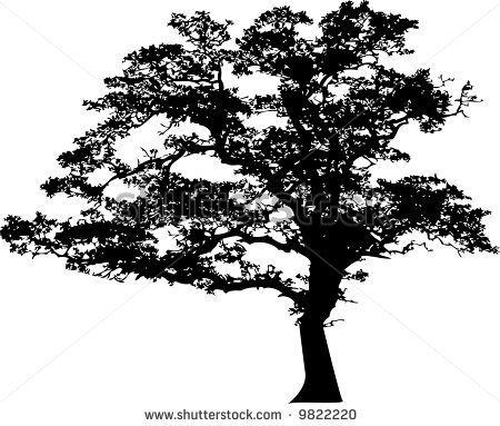 450x383 Maple Tree Silhouette Tree Silhouette