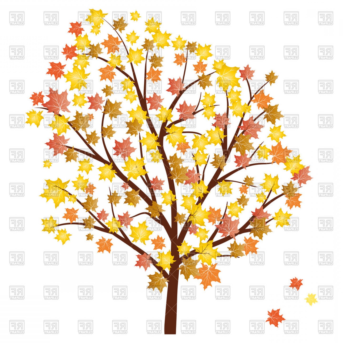 1440x1440 Autumn Maple Tree With Falling Leaves Vector Clipart Soidergi