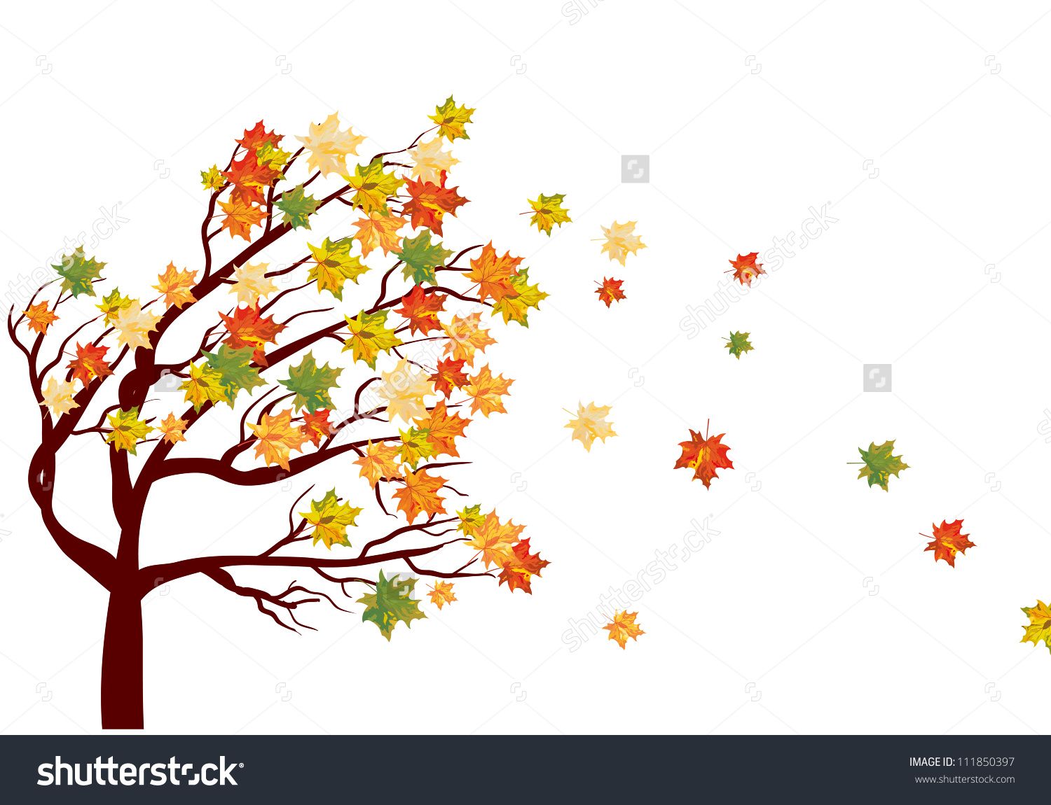 1500x1150 Autumn Maple Tree With Falling Leaves Vector Illustration