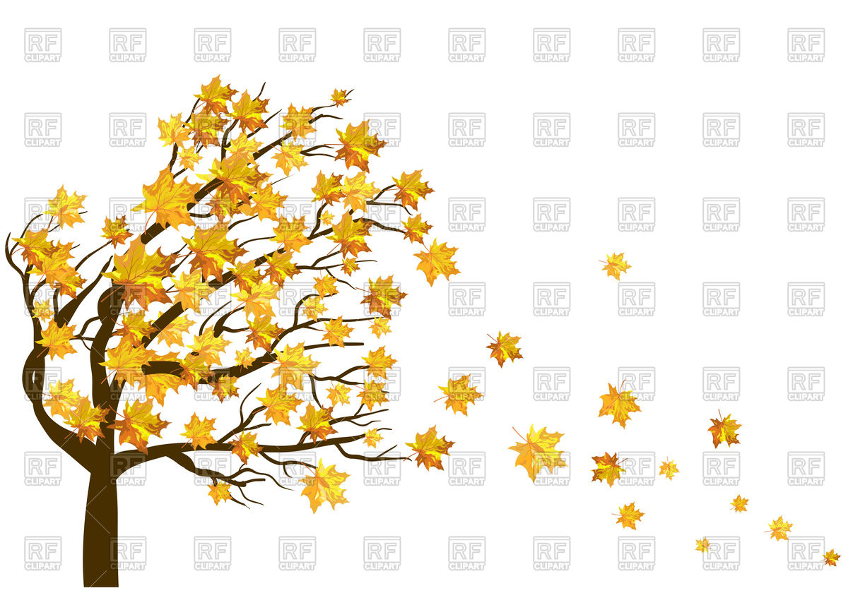 1200x840 Autumn Maple Tree Vector Image Of Plants And Animals Angelp