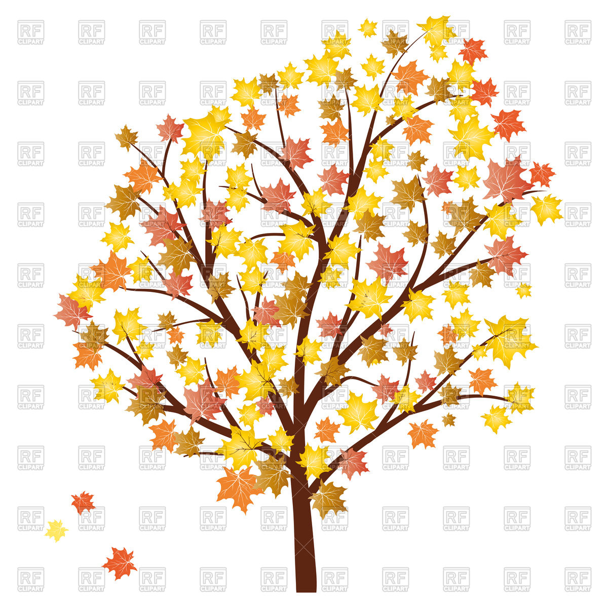 1200x1200 Autumn Maple Tree With Falling Leaves Vector Image Of Plants