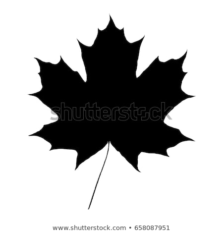 450x470 Huge Collection Of 'maple Leaves Silhouette' Download More Than