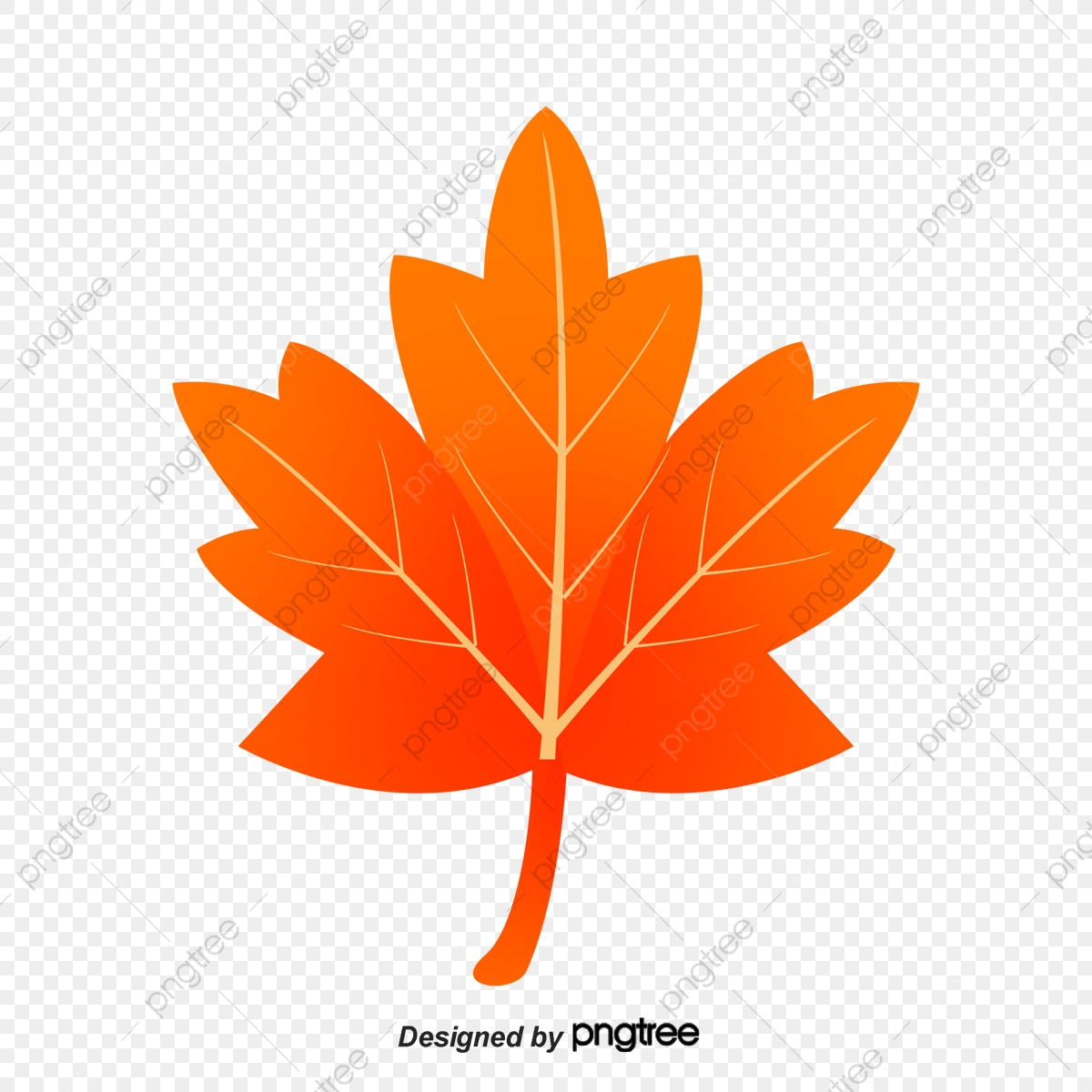 1200x1200 Maple Leaf, Orange, Fall Png And Vector With Transparent