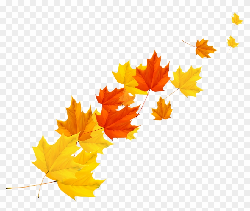 840x711 Maple Leaf Autumn