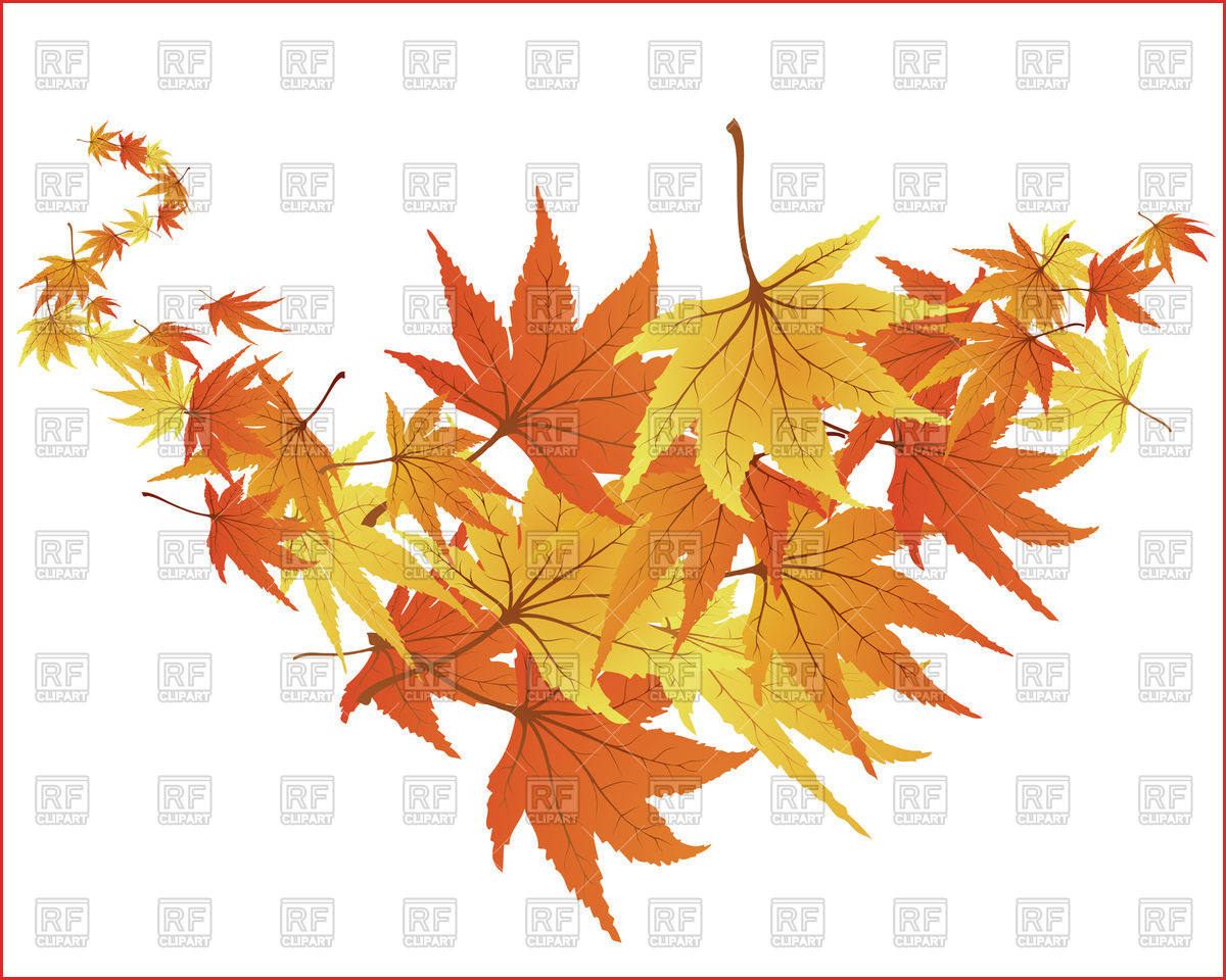 1200x960 Maple Leaf Drawing Maple Leaf Clipart Elegant Maple Leaves