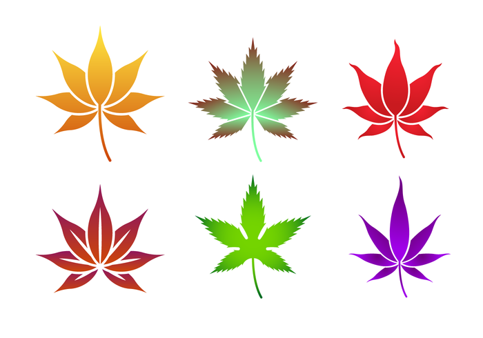 700x490 Maple Leaf Free Vector Art