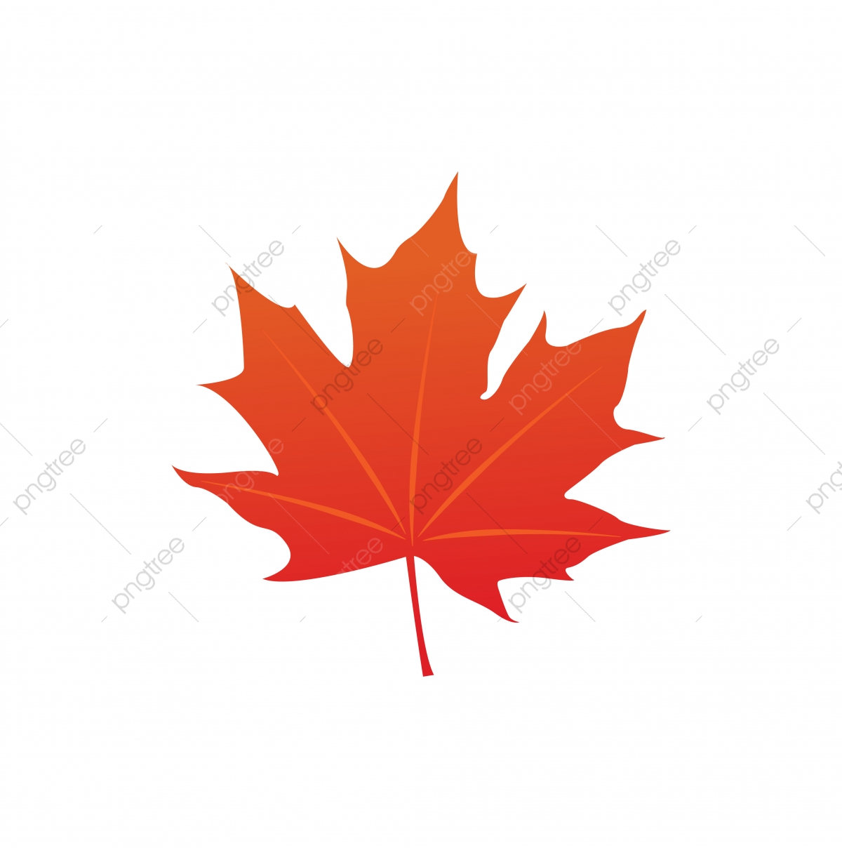 1200x1208 Maple Leaf Logo Icon Design Template Vector, Icon, Leaf, Maple Png