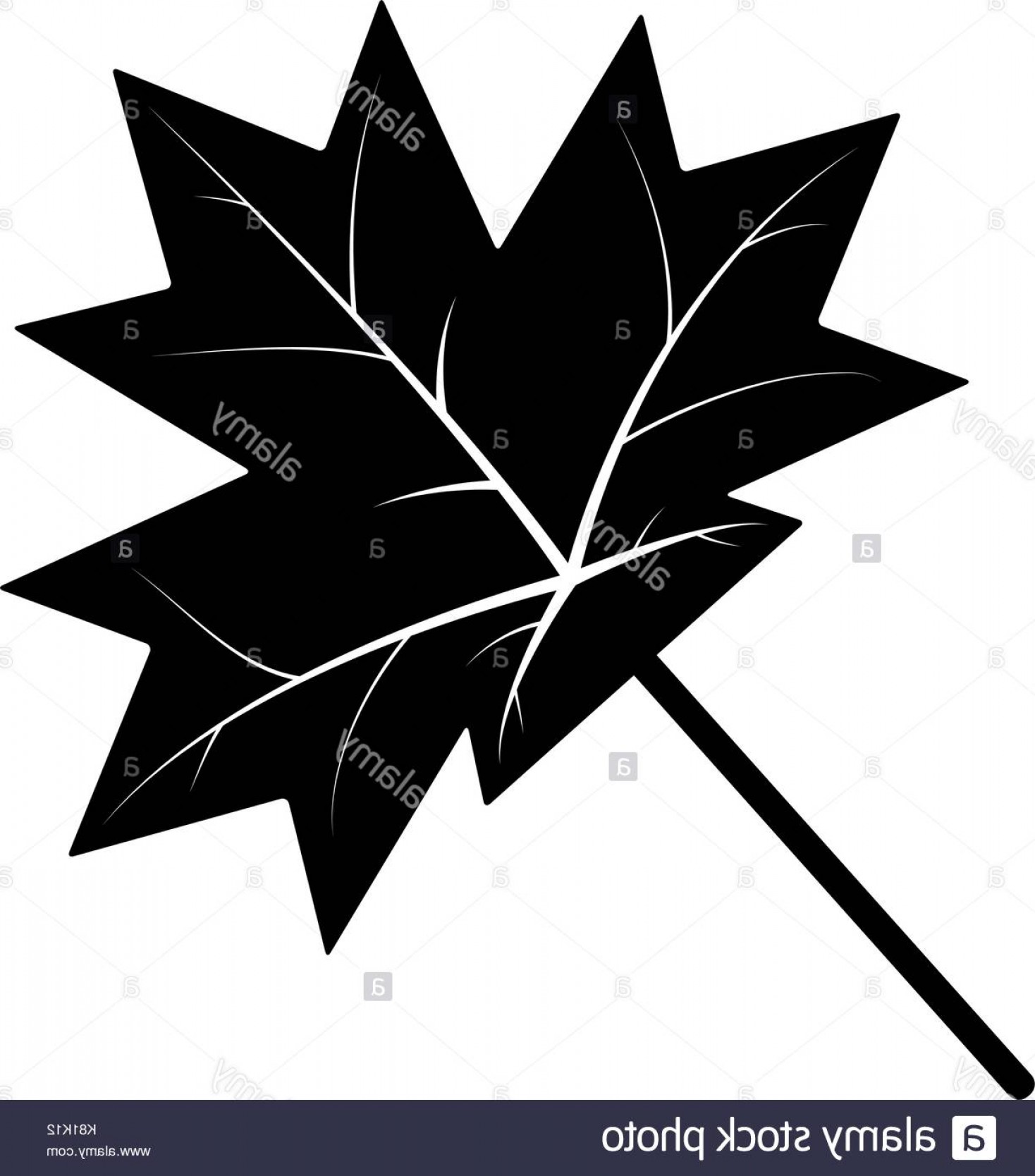 Maple Vector at Vectorified.com | Collection of Maple Vector free for ...