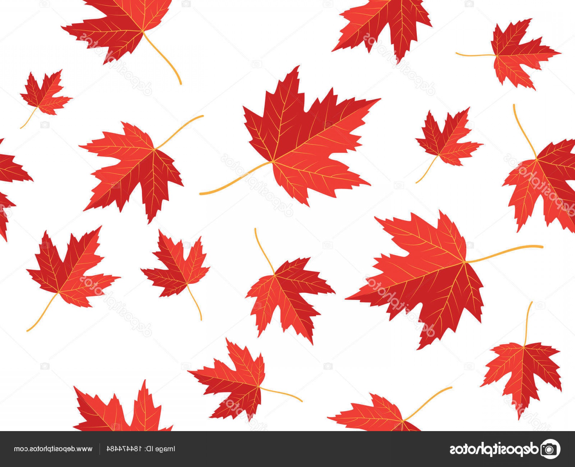 1920x1560 Maple Leaf Vector Patterns Catchsplace