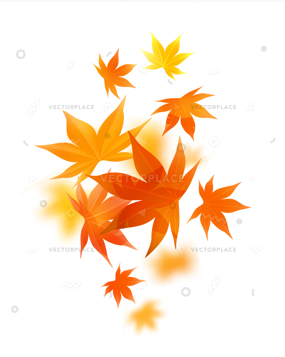 1000x1250 Momiji Realistic Autumn Maple Leaves White Vector Illustration