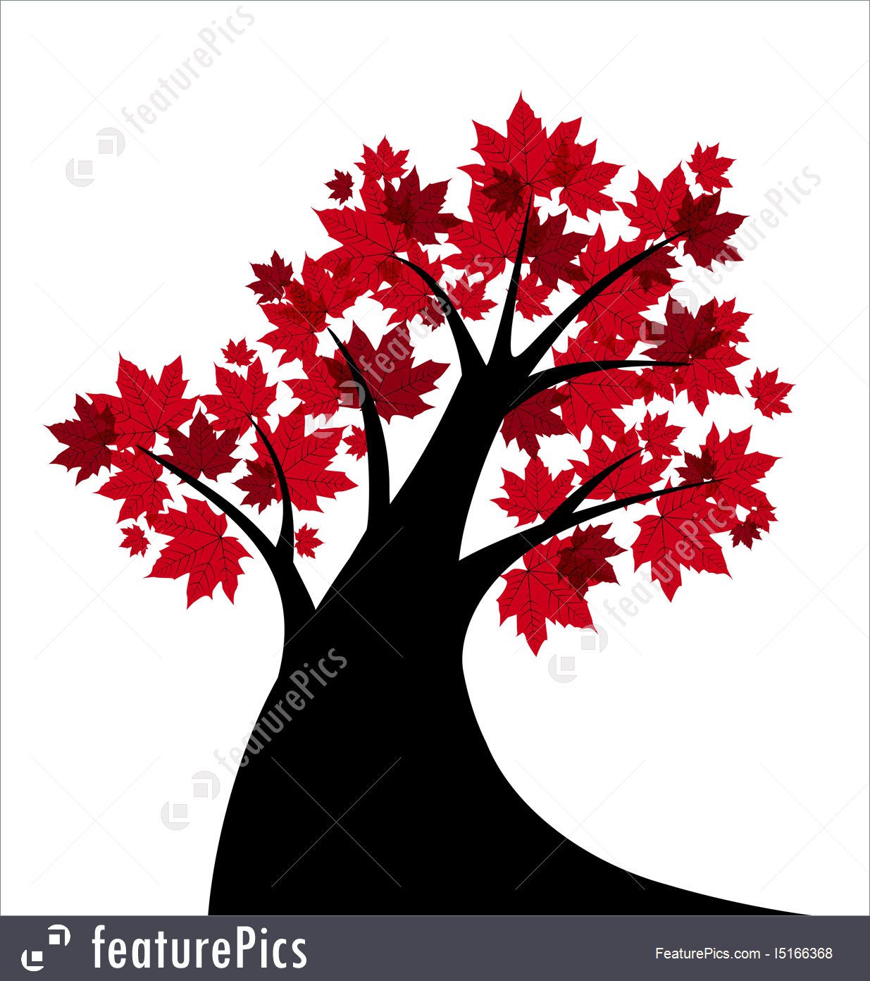 1235x1392 Vector Maple Tree Stock Illustration