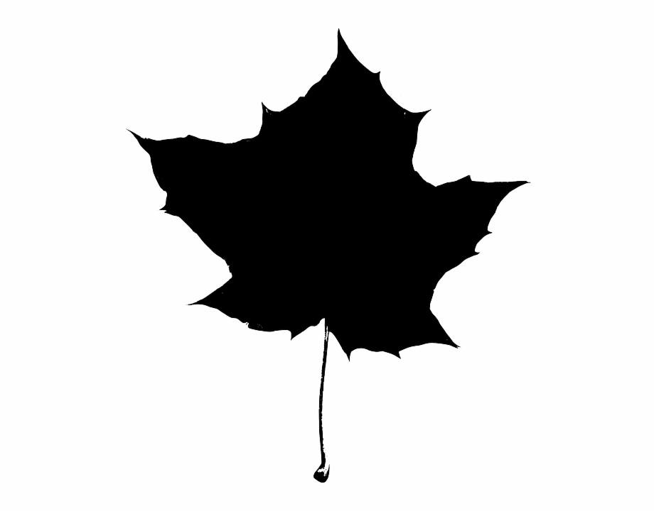 920x720 Free Vector Graphic