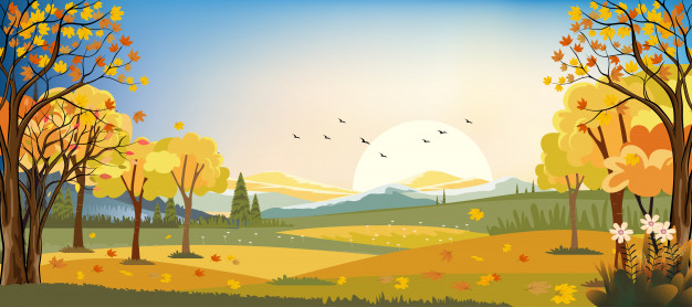 Panorama Landscapes Of Autumn Farm Field With Maple Leaves Falling 626x278 Panorama Landscapes Of Autumn Farm Field With Maple Leaves Falling