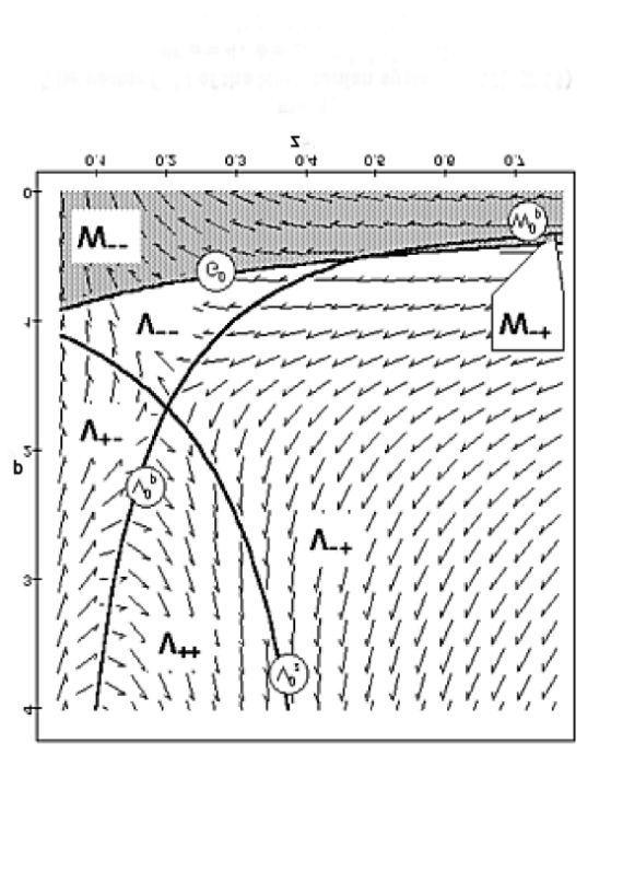 The Vector Field Of The Hamiltonian System 570x817 The Vector Field Of The Hamiltonian System