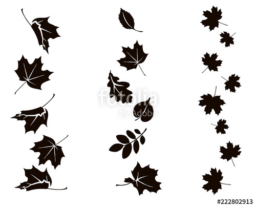 Autumn Falling Leaves Vector Silhouette Of Maple, Oak, Rowan 500x404 Autumn Falling Leaves Vector Silhouette Of Maple, Oak, Rowan
