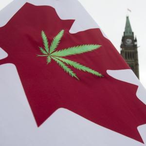 Canada Is About To Legalize Marijuana Heres Why Californians 300x300 Canada Is About To Legalize Marijuana Heres Why Californians
