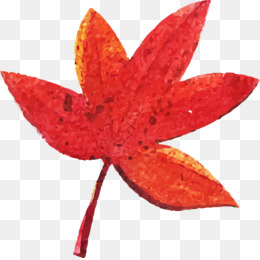 Field Maple Png Free Download 260x260 Field Maple Png Free Download